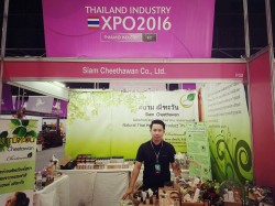 Thailand Industry Expo 2016